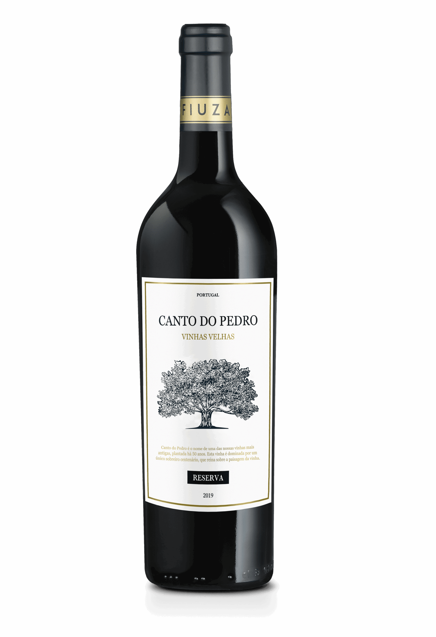 Canto do Pedro Fiuza